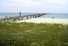 Strand von Prerow
